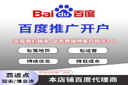 揭秘百度竞价排名：实战案例解析